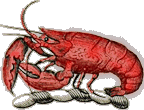 lobster.GIF (11508 bytes)